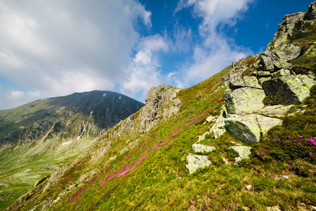 风景与游击分子山在罗马尼亚 mohoru 高峰