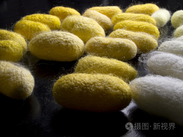 许多颜色的蚕虫茧