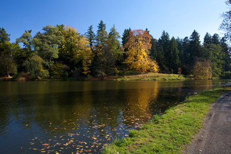 美丽的秋景与多彩的树木和池塘