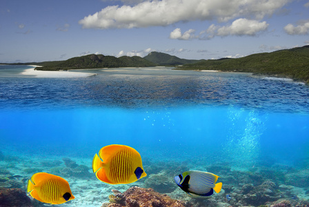 海底海洋生物的降灵岛群岛