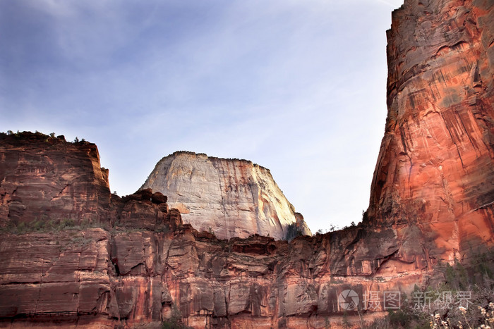 白色的大宝座红色岩石墙犹他州锡安峡谷国家公园