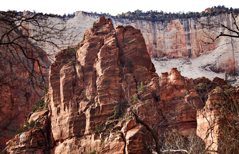 巨大的红色岩石白王位锡安峡谷国家公园犹他州
