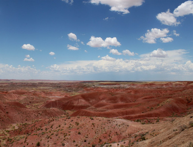 在美国亚利桑那州 66 号公路上的彩绘沙漠