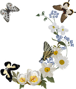 卷毛白色的花与蝴蝶