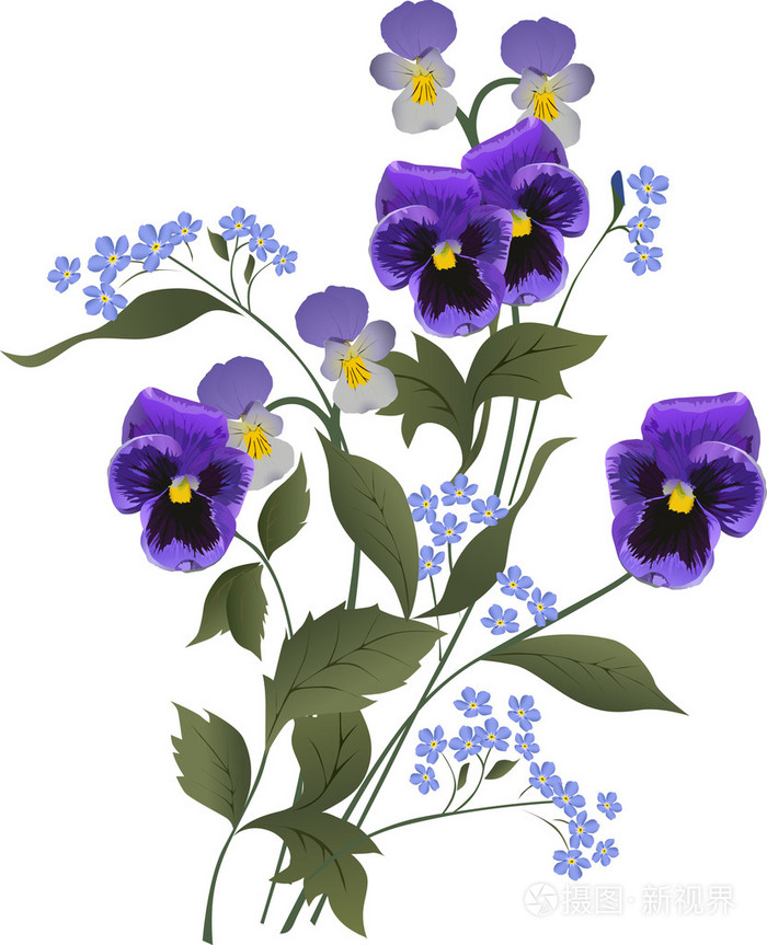 白底蓝色花花束