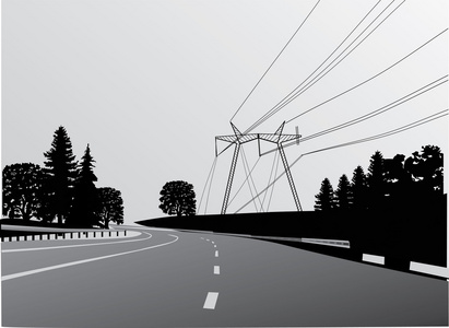 电气线路在道路附近的森林中图片