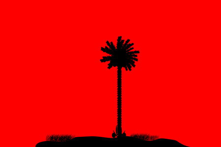 一个热带岛屿上红色的身影