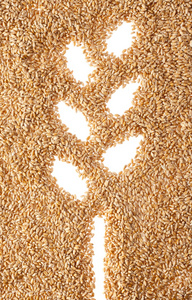 小麦的耳朵符号