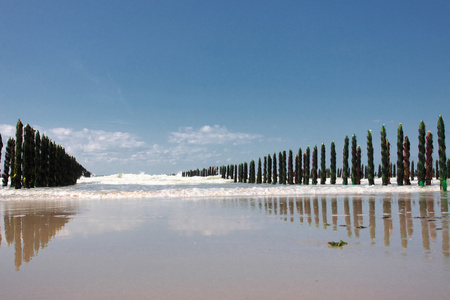 贻贝海海岸的蛋白石在法国图片