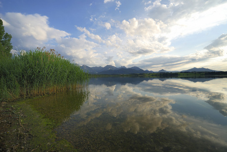 在阿尔卑斯山中湖