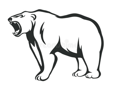 愤怒 卡特迈 毛皮 凶猛 动物 哺乳动物 三文鱼 阿拉斯加北极熊家族