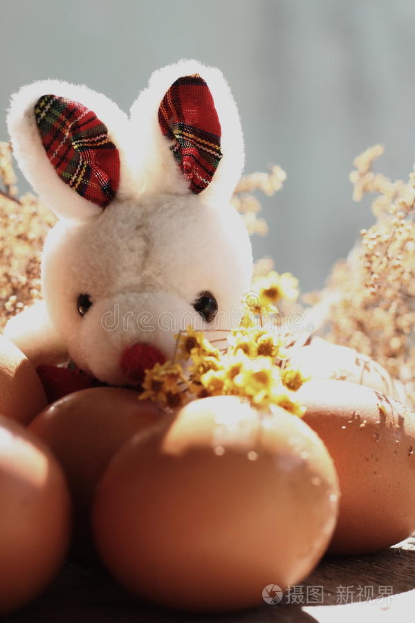复活节有彩蛋兔子有篮子