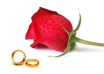 玫瑰和戒指的婚礼概念