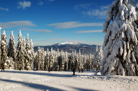 冬季景观与雪在山，斯洛伐克