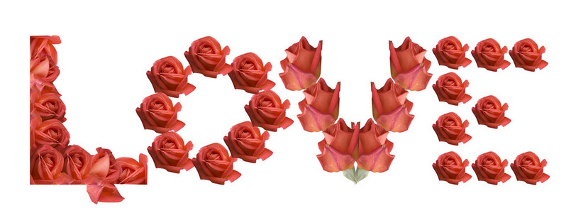 爱标志玫瑰鲜花的情人节，母亲的一天，生日