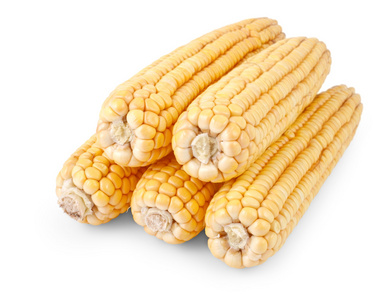 新鲜原料玉米上白色隔离