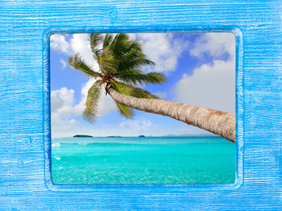 蓝色木结构与棕榈树海滩