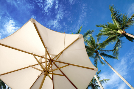 针对热带蓝蓝的天空的阳伞和棕榈树
