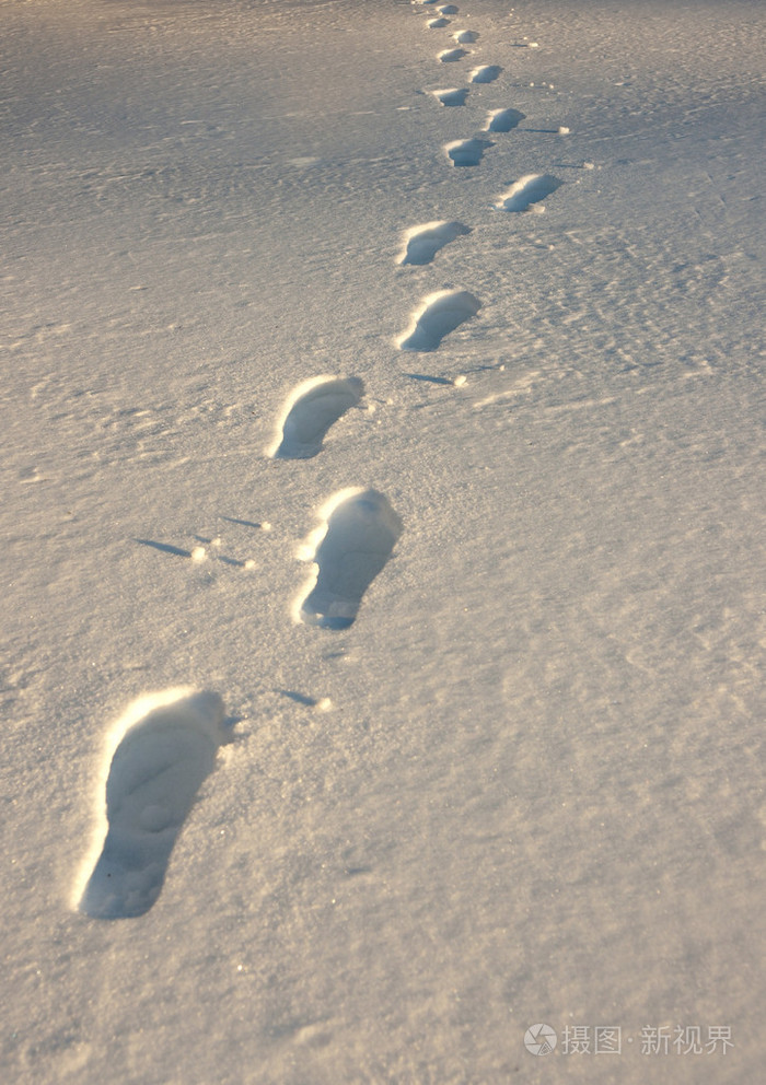 获奖雪景脚印图片图片