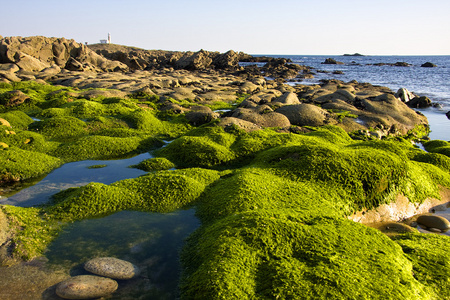 海岸