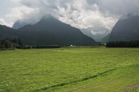 与绿草山