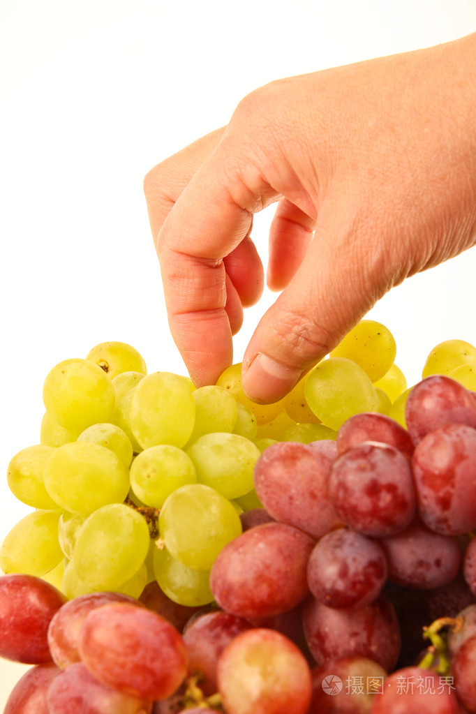 女手采摘的新鲜葡萄