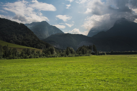 与绿草山