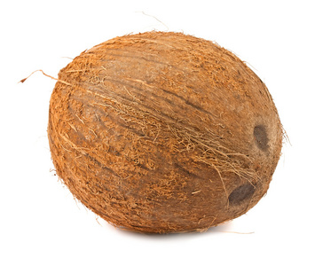 在白色背景上的单个椰子