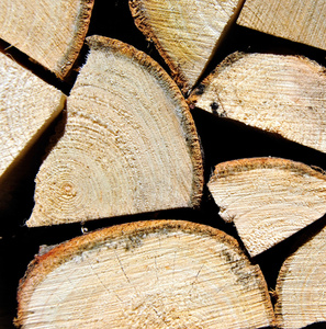 桩木日志堆积的木柴