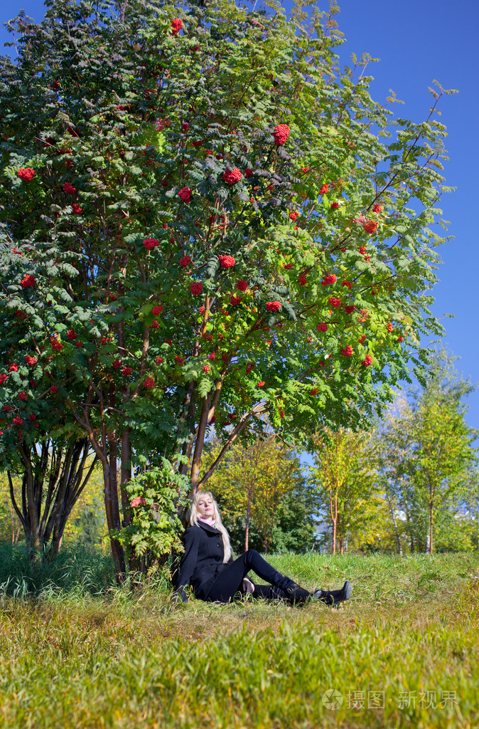 山灰树下的女人