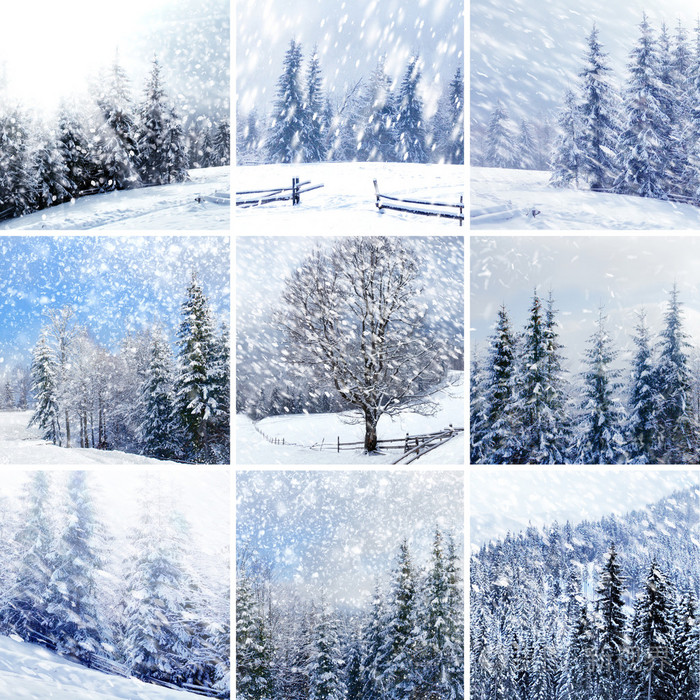 美丽的冬天拼贴画与雪覆盖的树木