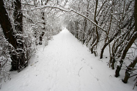 丹麦冬天图片