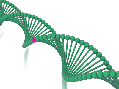 基因在 dna 中