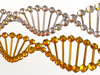 基因在 dna 中