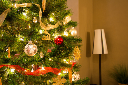 圣诞树和灯的侧面图图片