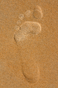 在海滩上的沙子足迹