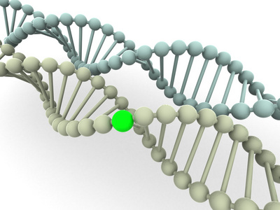 基因在 dna 中