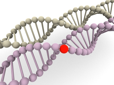 基因在 dna 中