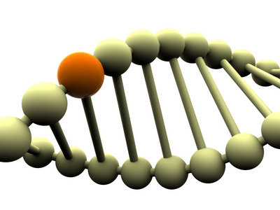 基因在 dna 中