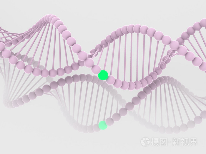 基因在 dna 中