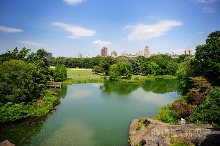 在纽约中央公园在夏天的池塘