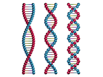 孤立在白色背景上的 dna 链