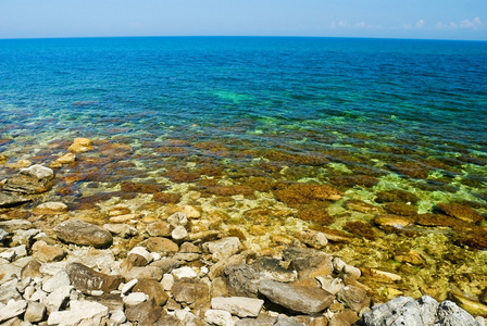 海洋海岸