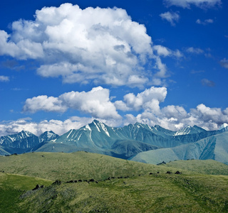 山风景