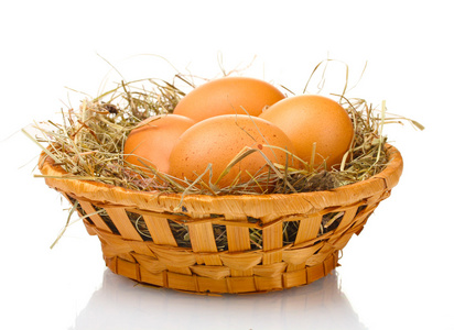 鸡鸡蛋在巢上白色隔离