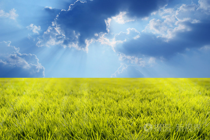 草土地阳光和美丽的天空