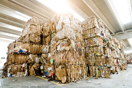 废纸的回收利用照片