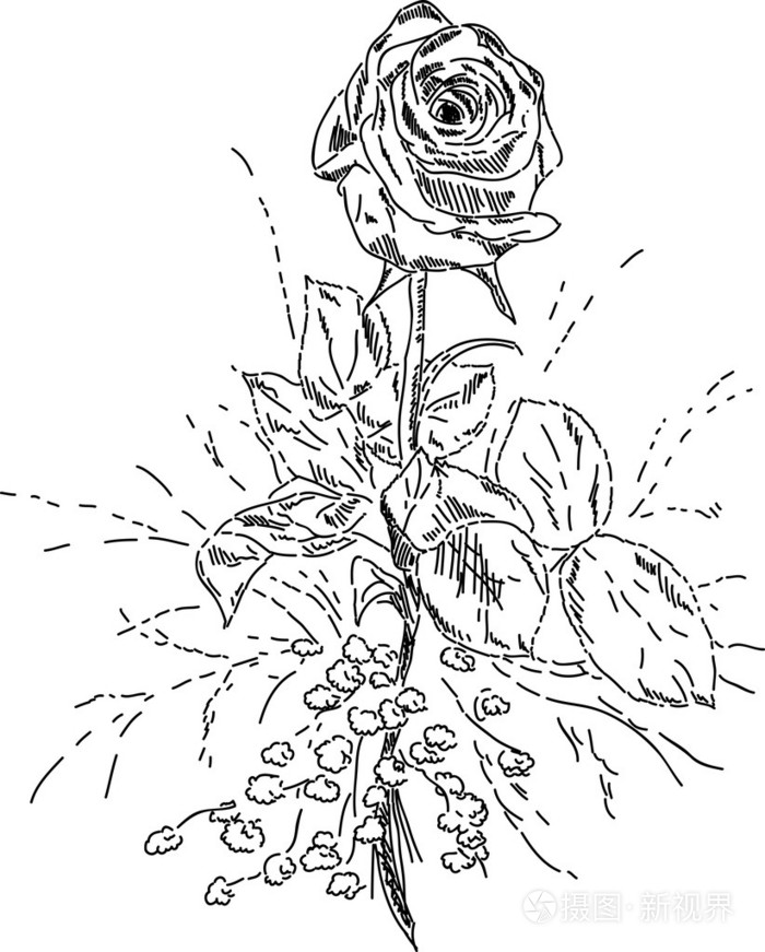 玫瑰花束