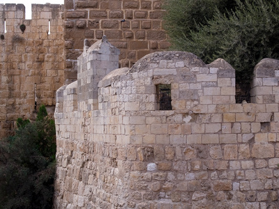 大卫的塔以色列耶路撒冷老的城墙