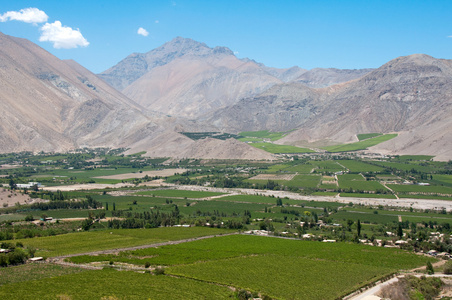 elqui 谷 智利